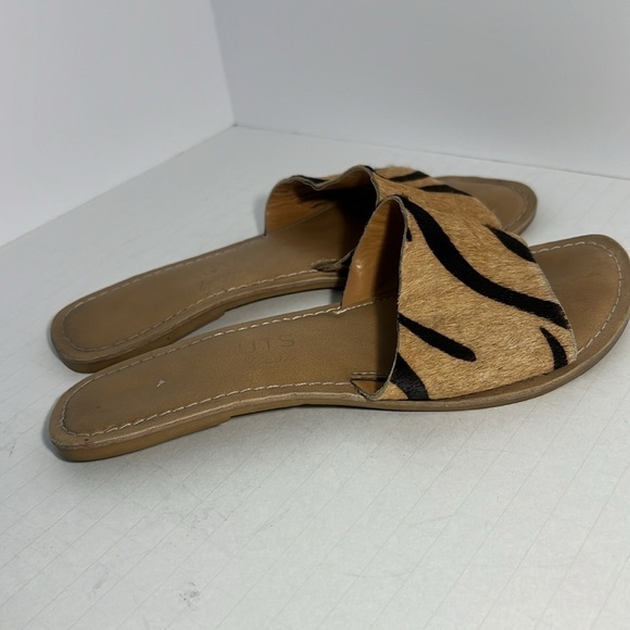 Coconuts by Matisse Cabana Slide size 6 - Picture 2 of 3
